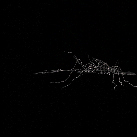 Play experiment