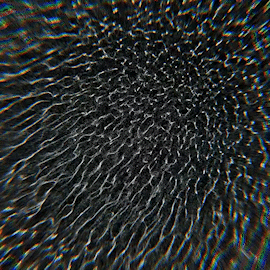 Play experiment